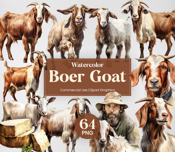 Watercolor Boer Goat, 64 Mega Farm Goat Clipart Bundle, Barn Animal Digital Prints, PNG format Transparent Background for Commercial Use