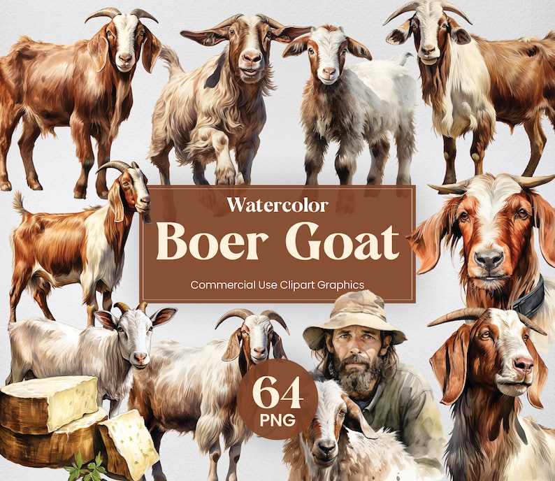 K&ouml;nnte beinhalten: Aquarell-Illustrationen von Boer-Ziegen in verschiedenen Posen. Die Illustrationen sind realistisch gehalten und zeigen eine Vielzahl von Farben, darunter Braun, Wei&szlig; und Schwarz. Der Text "Watercolor Boer Goat" und "Commercial Use Clipart Graphics" ist im Bild enthalten. Es gibt 64 PNG-Dateien.