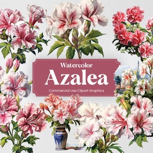 Aquarell Azalee, 29 Azaleen Frühling Pflanzen Blumen Flora Vegetation Grüntöne Digitaldruck, Clipart PNG transparenten Hintergrund kommerzielle Nutzung