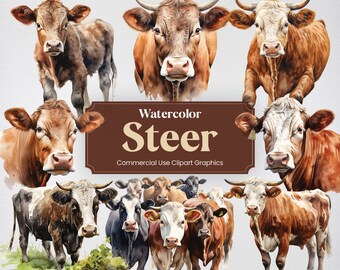 Watercolor Steer, 36 Farm Ox Clipart, Bull Barn Animal Digital Prints, PNG format Transparent Background for Commercial Use