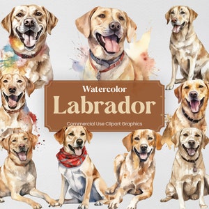 Watercolor Labrador Retriever Dog Clipart, 24 Animal Digital Clip Art, PNG format with Transparent Background for Commercial Use