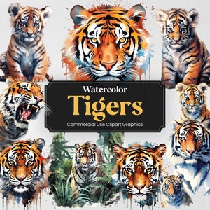 Tigre aquarelle et bébés tigres, 26 impressions numériques d'animaux de la jungle, format PNG avec fond transparent pour un usage commercial