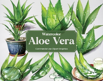 aloe vera inhaltsstoffe Aloe Vera Gel für Gesicht & Körper! main image 1