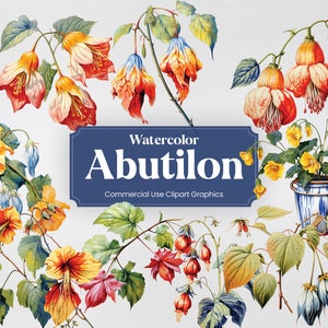 Aquarel Abutilon, 27 Abutilons, bloemen planten lente bloemen boeket digitale print, clipart PNG transparante achtergrond commercieel gebruik