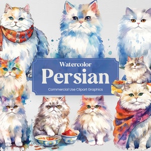 水彩画のペルシャ猫、13 匹の猫と子猫のクリップアート、かわいい動物のデジタル プリント、商用利用可能な透明な背景の PNG 形式