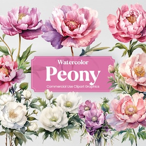May include: Watercolour illustrations of pink and white peonies with green leaves. The text "Watercolour Peony Commercial Use Clipart Graphics" is displayed on a pink banner.