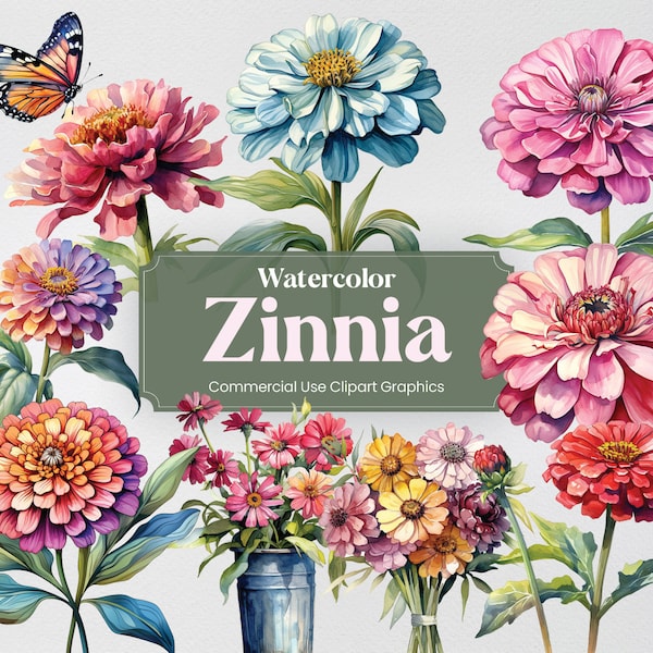 Watercolor Zinnia, 28 Zinnias Plants Flowers Spring Floral Bouquet Flora Digital Print, Clipart PNG Transparent Background Commercial Use