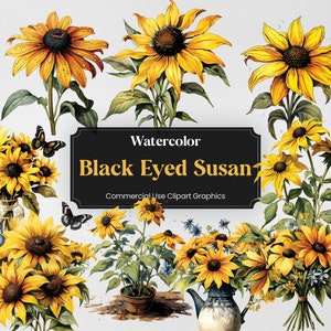 Watercolor Black-Eyed Susan, 28 Flowers Plants Spring Floral Bouquet Flora Digital Print, Clipart PNG Transparent Background Commercial Use