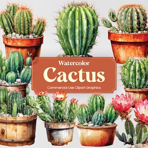 Cactus acuarela, 28 plantas de cactus flores desierto suculenta flora verdes impresión digital, imágenes prediseñadas PNG fondo transparente uso comercial