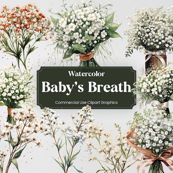 Watercolor Baby's Breath, 28 Flowers Plants Spring Floral Bouquet Digital Print, Clipart PNG Transparent Background Commercial Use