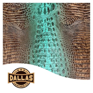Embossed Leather Cuts | Alligator Spine Turquoise Brown | Pre-Cut Sheets Select Size | DLCo | Embossed Cowhide | Leather Sheets