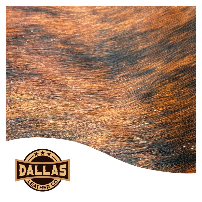 May include: Close-up of a brown and black cowhide with a wavy pattern. The hide has a natural, rustic look. The Dallas Leather Co. logo is in the bottom left corner.