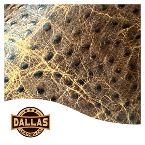 Découpes de cuir en relief | Caramel Sierra Struzzo | Feuilles prédécoupées Sélectionnez la taille | DLCo | Cuir de vachette gaufré