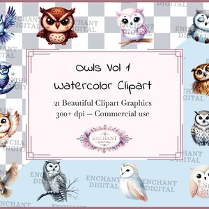 Uilen clipart - aquarel bos dieren in het wild nachtvogel uil kunst clipart instant download - PNG-afbeeldingen bundel - commercieel gebruik