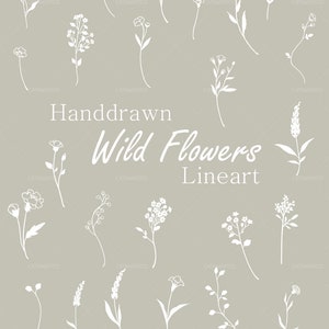 Clipart fleur sauvage, cadre floral de mariage, carte de mariage fleur Clipart, dessin au trait blanc pur, faire-part de mariage, PNG, couronnes de fleurs sauvages