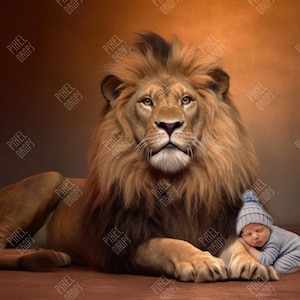 Digitaler Hintergrund eines Löwen für Neugeborene und Kinder Fotografie, Digitale Requisite für Neugeborene und Kinder, Digitaler Hintergrund, König der Löwen Mockup PNG