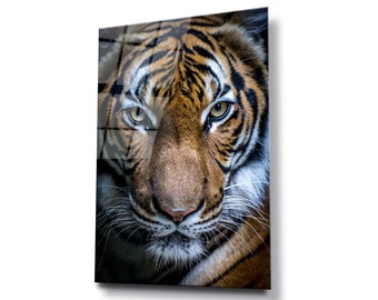 Tiger face portrait glass wall art, HD digital print on glass poster wall hanging, Eye catching modern wall décor, Canvas alternative