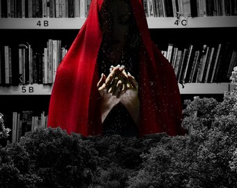 Story Collection | HORRIPILATE