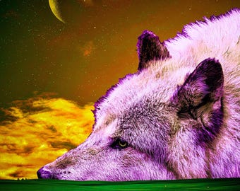 Poster Art | Patience