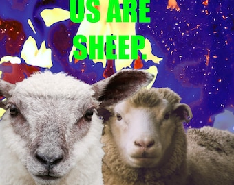 Poster Art | All Sheep