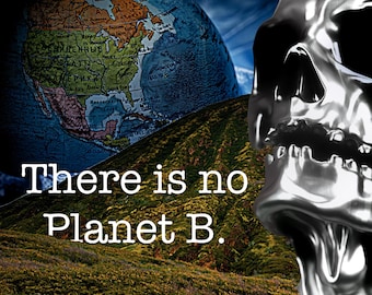 Poster Art | No Planet B