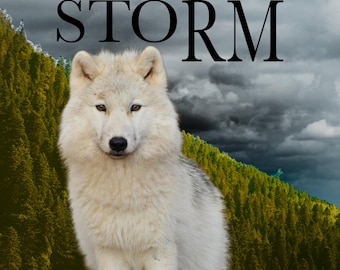 Poster Art | Be The Storm