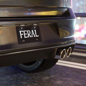 FERAL Aluminum License Plate: Novelty Car Tag image 4