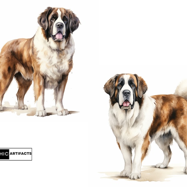 60 Saint Bernard Dog Breed Watercolour illustrations. Clip Art, Puppies and Adult Dogs, face closeups and full-body clip art, PNG Images