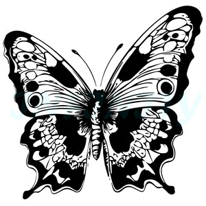 Zwart-wit vlinder lasergravure, afdrukken, stempelen Digitaal downloadbestand SVG, PNG, DXF, Jpg, vectorbestand