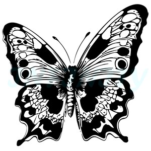 Mariposas voladoras monocromáticas Estampado Vectorial Sin Costura