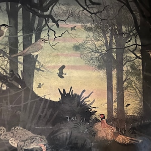 May include: A vintage illustration depicting a woodland scene with various birds, a frog and a pheasant. The birds are perched on branches, while the frog is sitting on the ground. The pheasant is standing in the centre of the scene, with its tail feathers spread out.