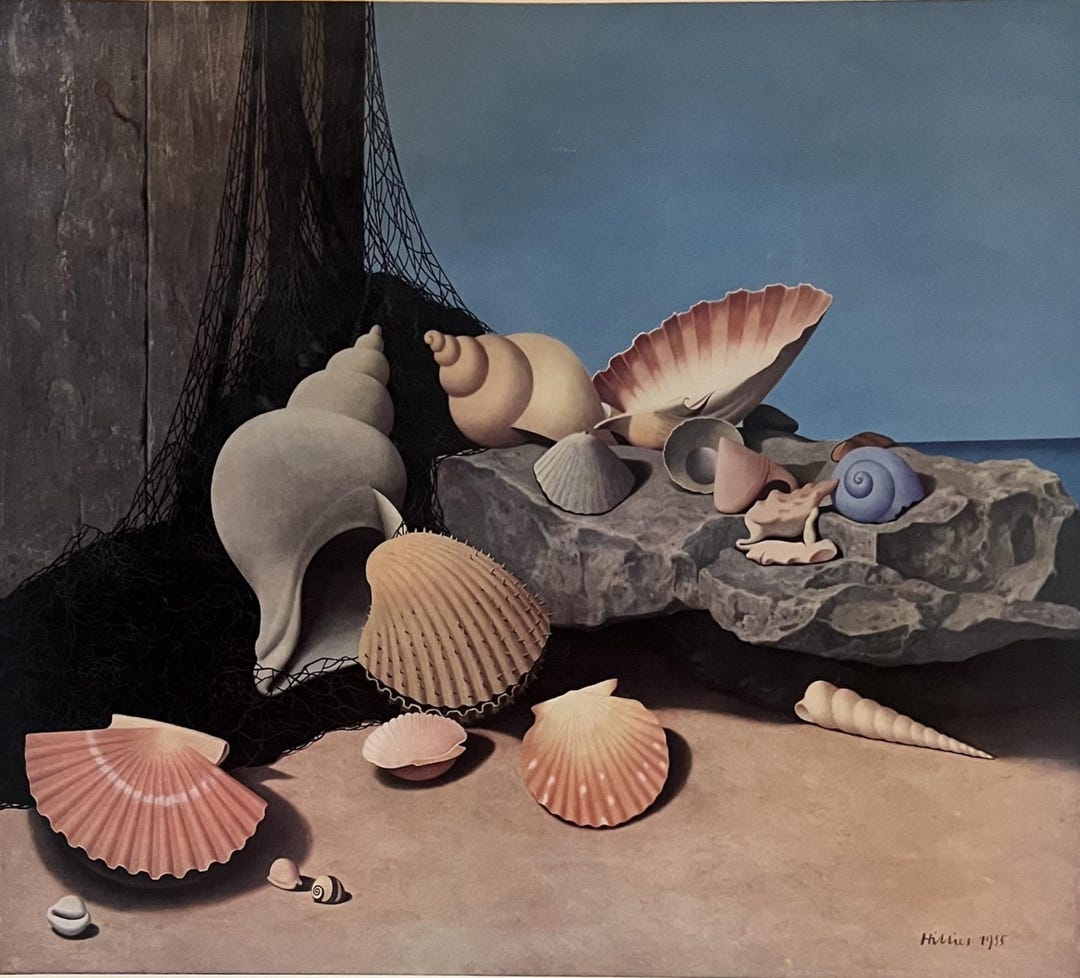 Shells (Classic Natural History Prints) by Dance, S.P.