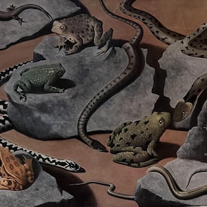 May include: A painting showcasing a variety of reptiles and amphibians. The artwork features several snakes with patterned scales, frogs, and lizards on and around grey rocks. The background uses brown and grey tones, creating a naturalistic scene.