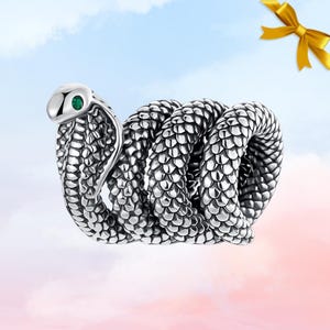 May include: A silver snake ring with a coiled design. The snake's head is raised, and it has a green gemstone eye. The ring features scale patterns and is set against a sky-blue and pink background.