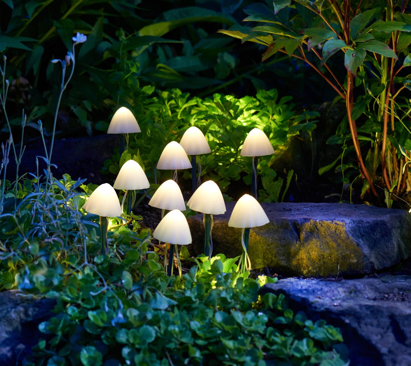 LumiShroom Stake Lights - Set of 10 Solar Powered