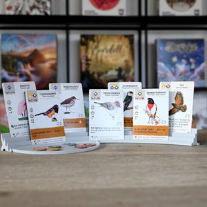 Porta carte con e senza vassoio per organizzare al meglio le tue carte durante il gioco. Per giochi da tavolo, giochi di carte collezionabili, TCG