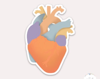 Heart Sticker | Doctor Sticker, Nurse Sticker, Water Bottle Sticker, Healthcare Sticker, Sticker for Nurse, Gift for Nurse, Funny Healthcare