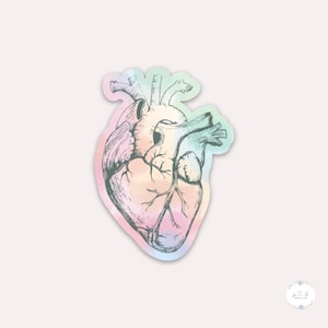 Rainbow Heart Sticker | Nurse Sticker, Stickers for Nurses, Gift for Nurse, Nursing Student Sticker, ICU Nurse Sticker, Healthcare Stickers