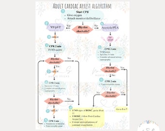 ACLS Algorithm Sheet | Healthcare ACLS, Advanced Life Support, Nurse Cheat Sheet, Nursing Sheet, Doctor Sheet, ACLS for healthcare workers