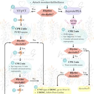 ACLS Algorithm Sheet, Healthcare ACLS, Advanced Life Support, Nurse ...