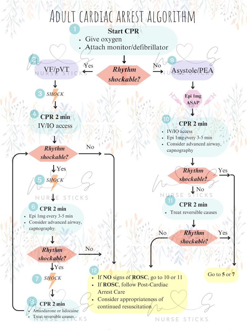 ACLS Algorithm Sheet, Healthcare ACLS, Advanced Life Support, Nurse ...