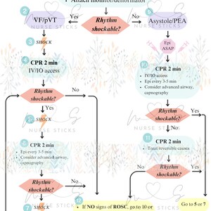 ACLS Algorithm Sheet | Healthcare ACLS, Advanced Life Support, Nurse ...