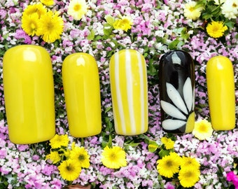 Daisy Girl presse sur les ongles