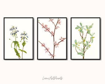 Vintage Floral Prints Set: Botanical Wall Art (Digital Download)