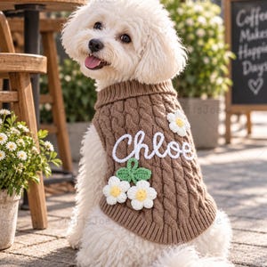 Puede incluir: Un perro blanco con un su&eacute;ter de punto trenzado marr&oacute;n que lleva el nombre Chloe bordado en letra blanca, decorado con tres flores de margarita tejidas a ganchillo en blanco y amarillo con hojas verdes.