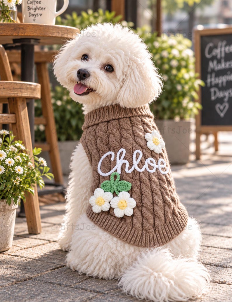 Puede incluir: Un perro blanco con un su&eacute;ter de punto trenzado marr&oacute;n que lleva el nombre Chloe bordado en letra blanca, decorado con tres flores de margarita tejidas a ganchillo en blanco y amarillo con hojas verdes.