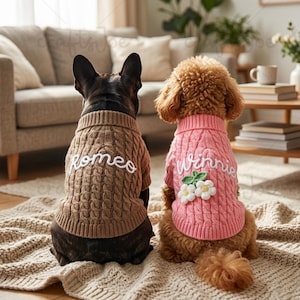 Personalisierter Hundepullover mit Namen, individuell handgestrickter Haustier-Rollkragenpullover, bestickte Welpenkleidung, kleiner Hund, Zopfmuster, Hundegeschenk