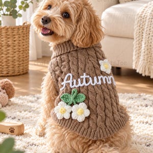 Puede incluir: Un su&eacute;ter para perro de punto trenzado color marr&oacute;n claro con el texto bordado en blanco Autumn, decorado con tres flores de ganchillo blancas con centro amarillo y hojas verdes, usado por un perro peque&ntilde;o de pelo rizado.