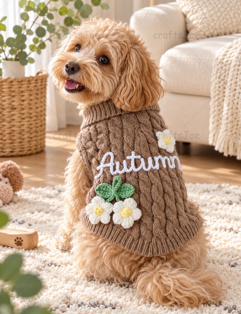 Puede incluir: Un su&eacute;ter para perro de punto trenzado color marr&oacute;n claro con el texto bordado en blanco Autumn, decorado con tres flores de ganchillo blancas con centro amarillo y hojas verdes, usado por un perro peque&ntilde;o de pelo rizado.