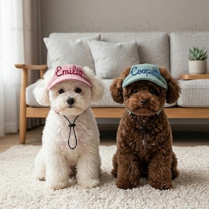 Può includere: Due cani con visiere. Uno bianco con una visiera rosa ricamata con il nome "Emilia". L'altro, marrone, con una visiera blu ricamata con il nome "Cooper". Entrambi i cani sono seduti su un tappeto bianco.